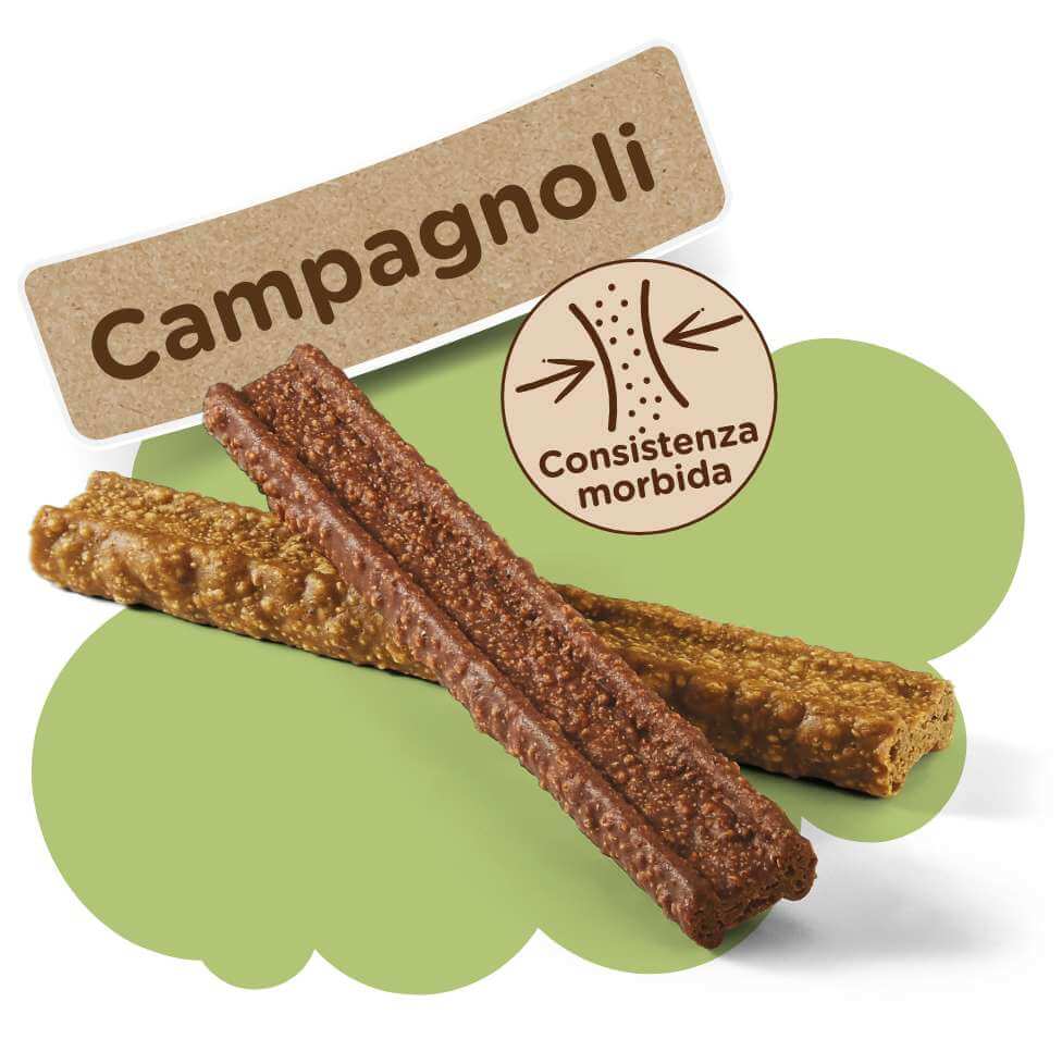 Campagnoli