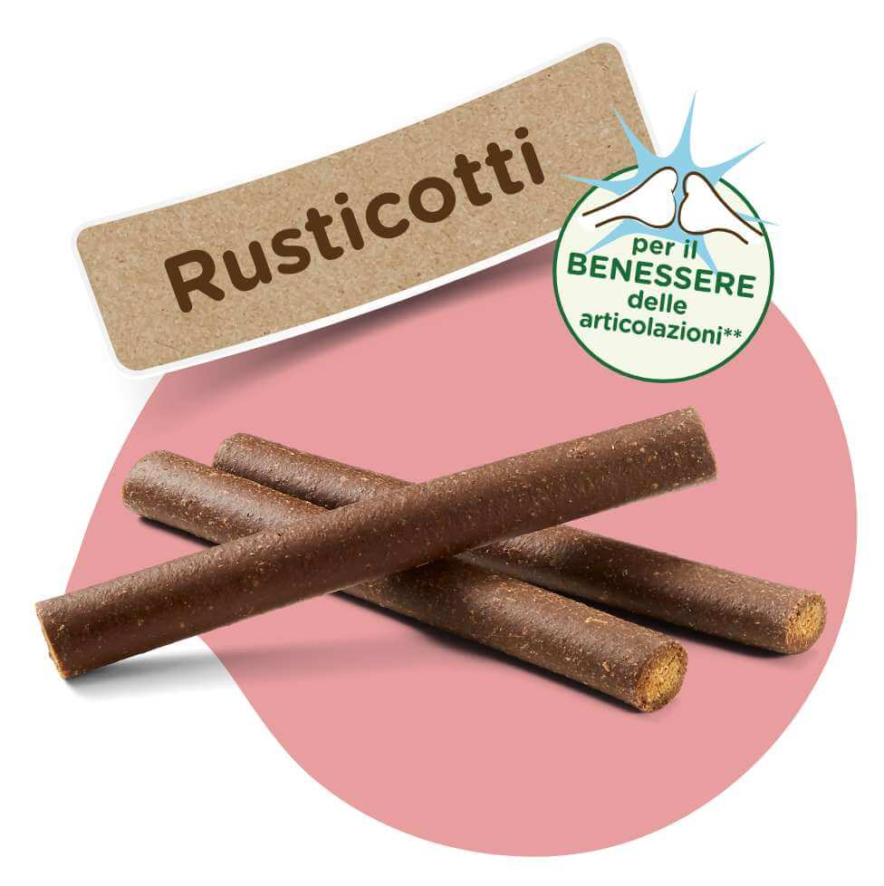 Rusticotti