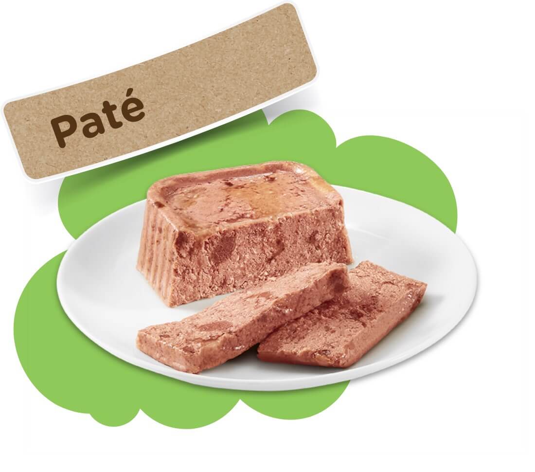 Paté