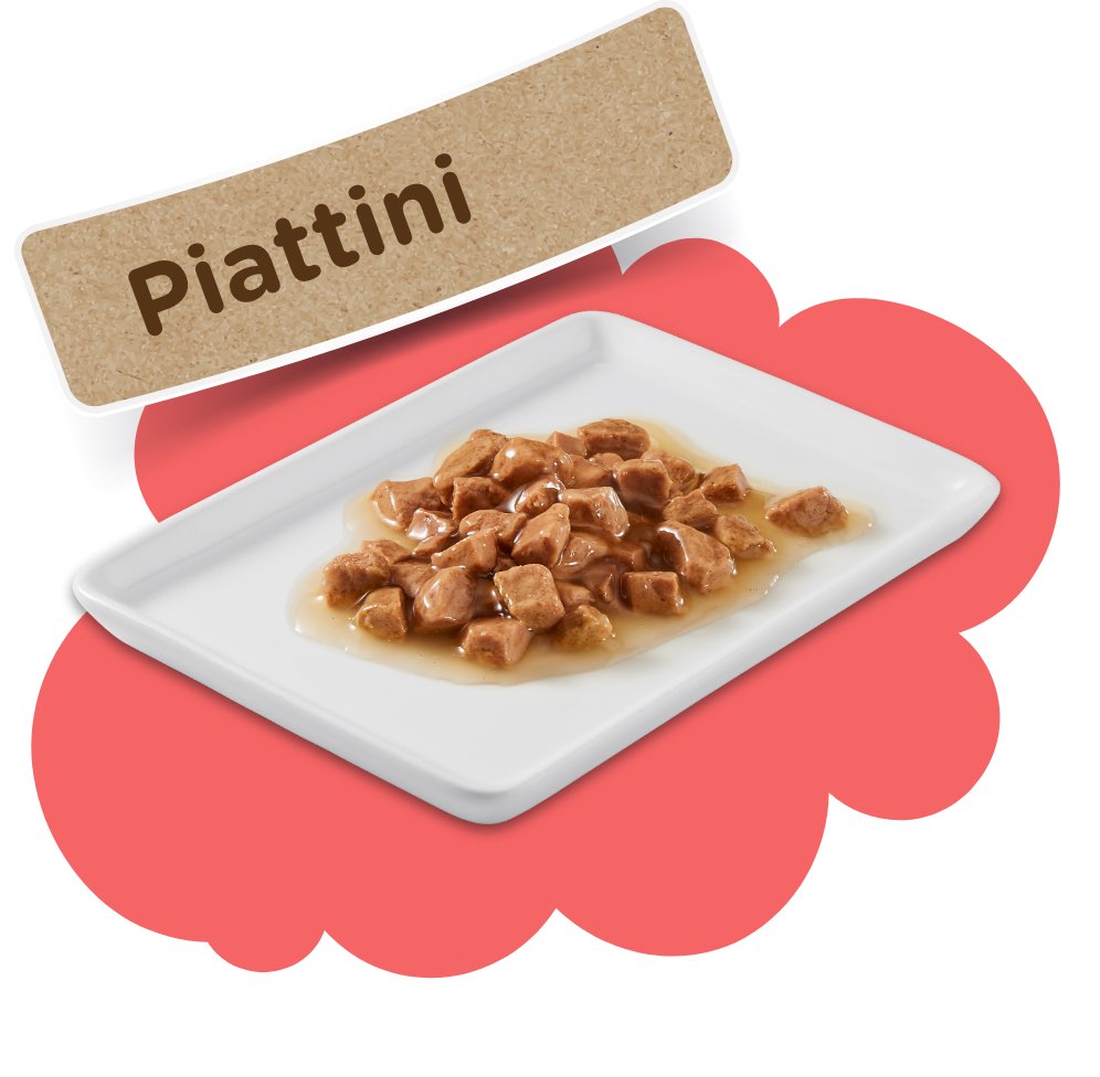 Piattini