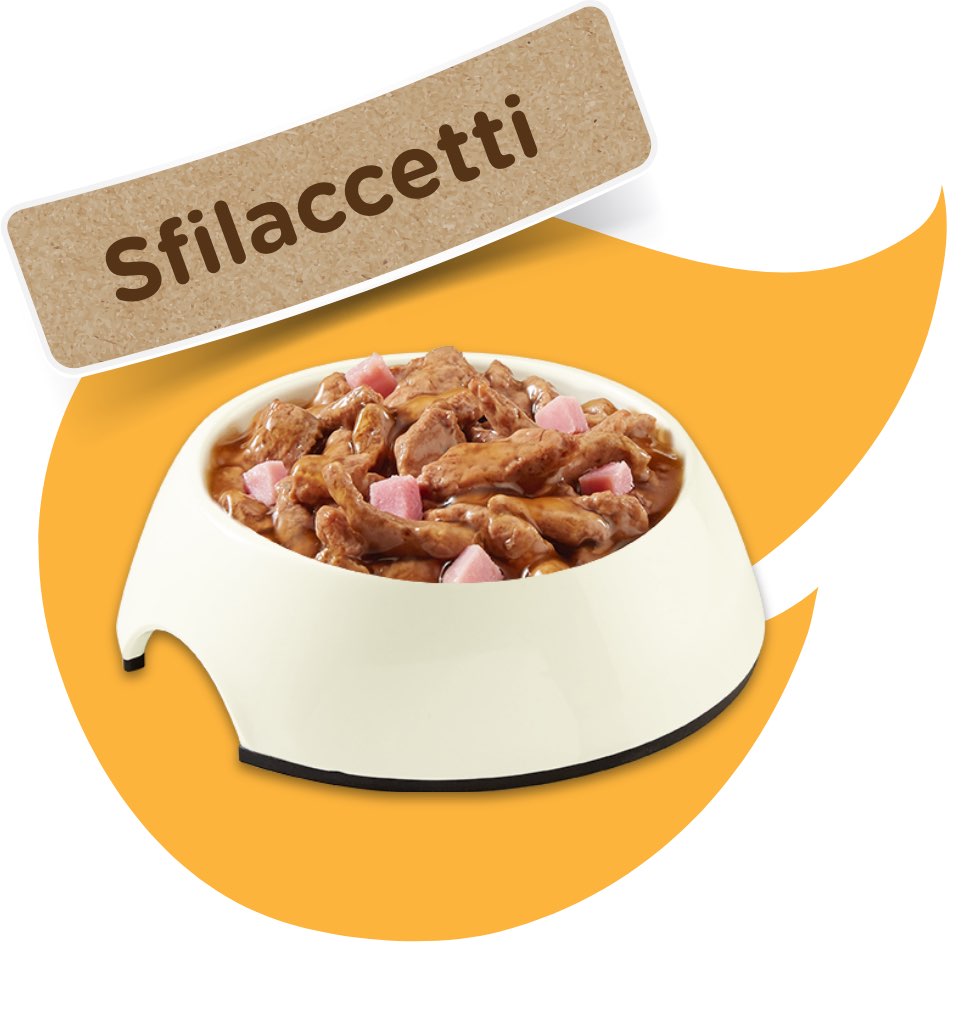 Sfilaccetti