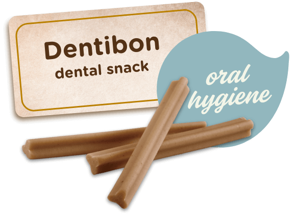 dentibon